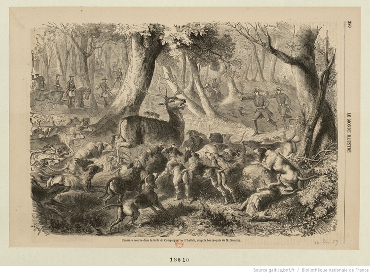 Chasse en forêt de Compiègne par Gustavec Janet - 1859 - Estampe - © BNF